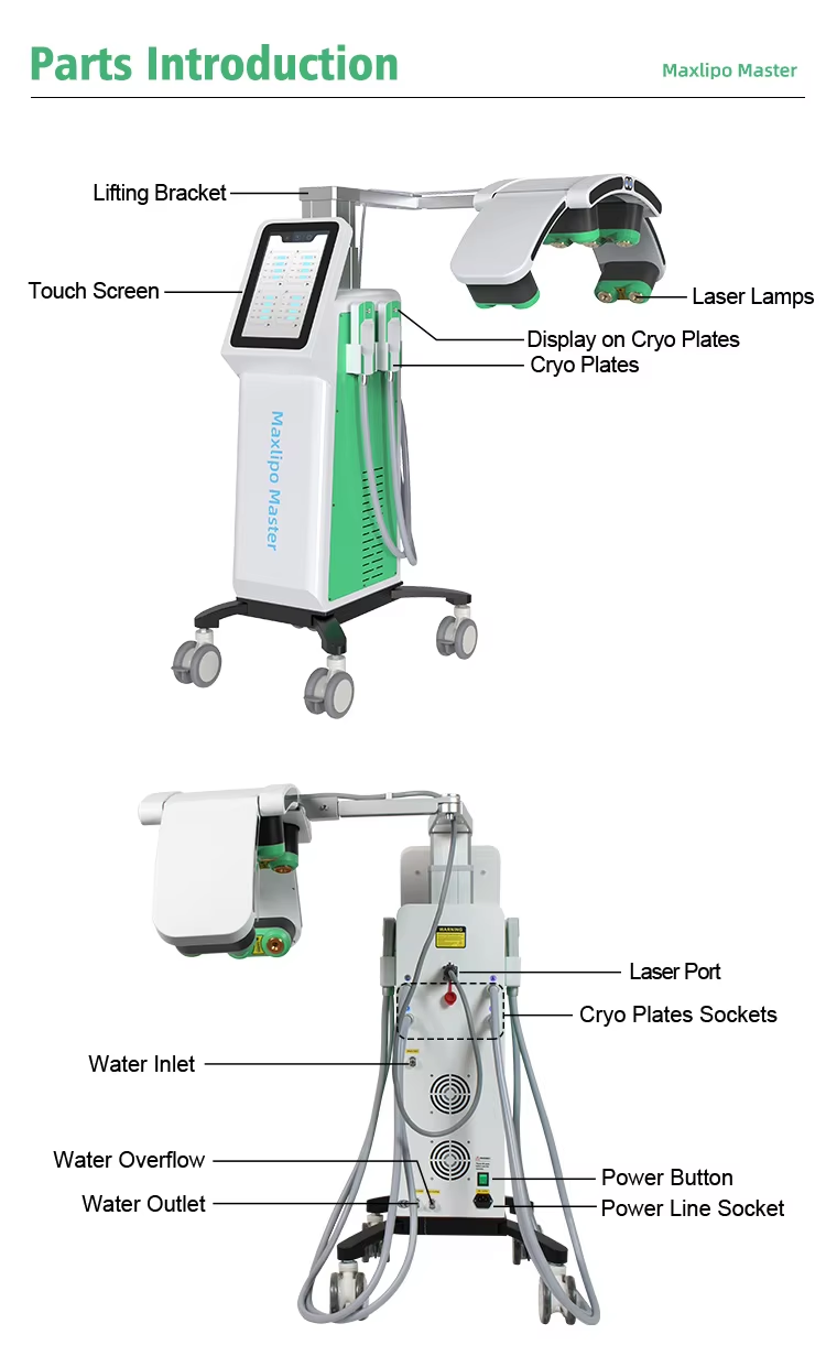 10D Maxipo Master Laser Cryo plate 1